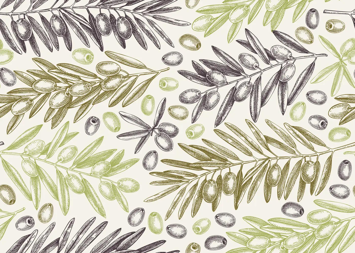 Olive branch seamless pattern. Vector background with leaves and fruits sketches in vintage style. Vegetable oil ingredients texture. Olive plant illustration for print or packaging design Illustration